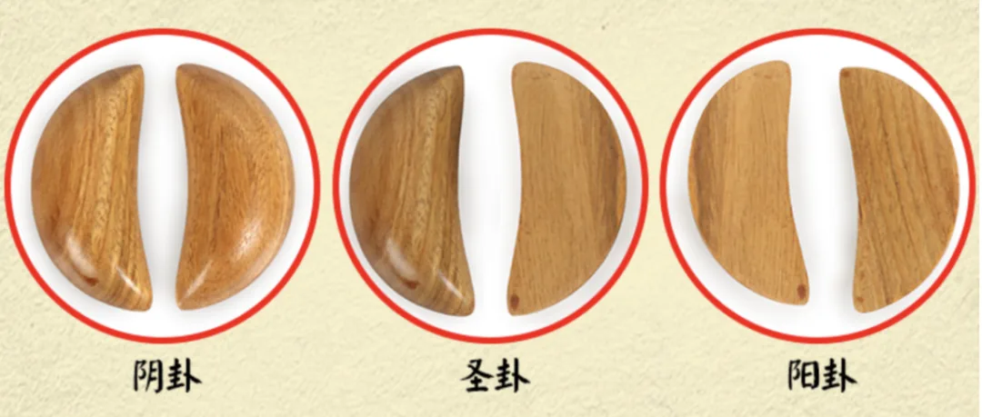 wechat-20240304-b071c65e7c 插图 10
