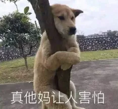wechat-20240201-50aa5ff82e 插图 7