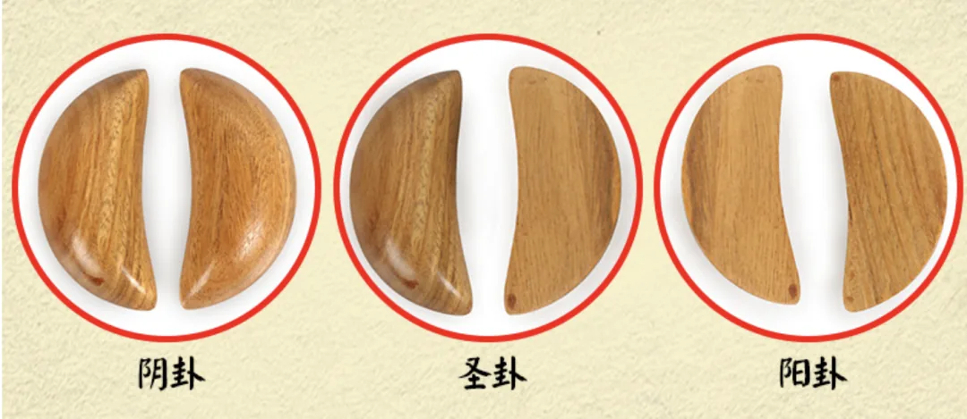 wechat-20240223-1bf5c44c16 插图 3
