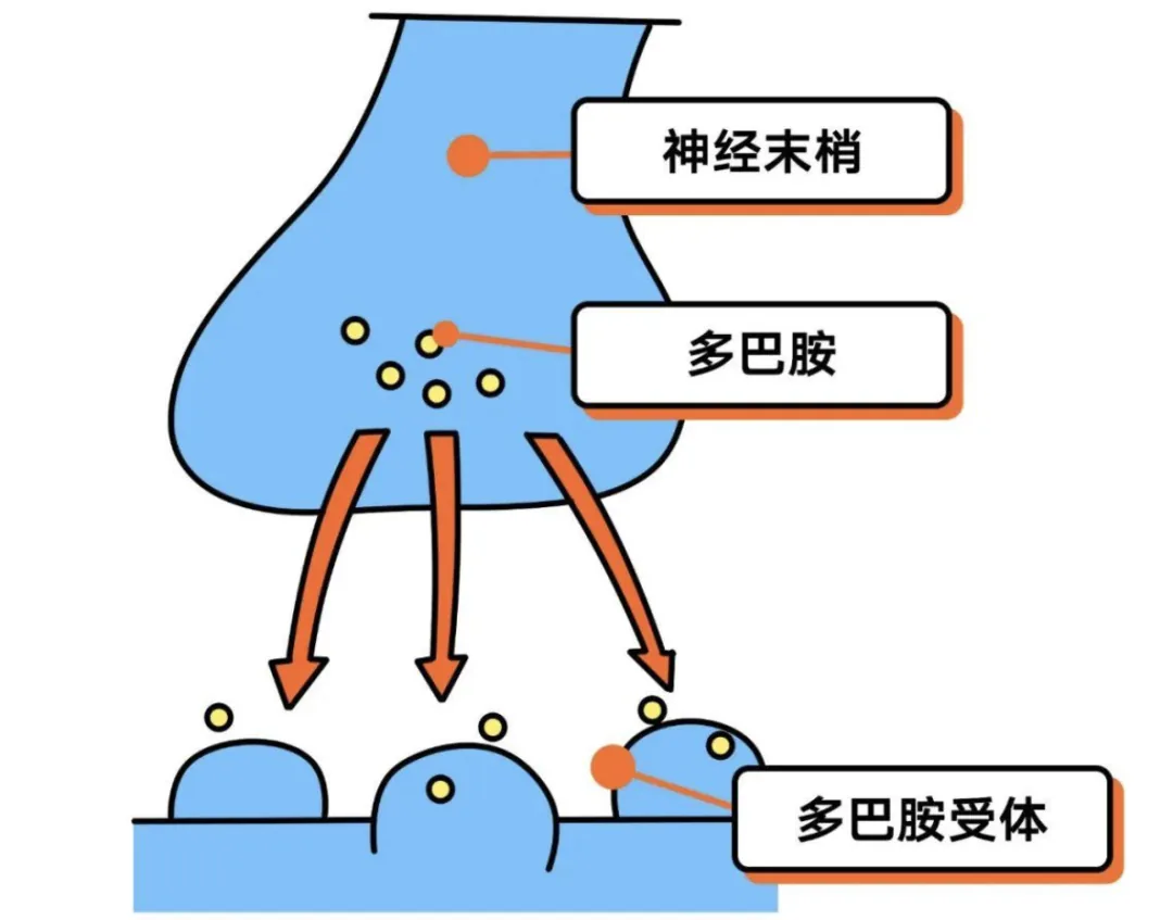 wechat-20240220-337003a5b3 插图 4