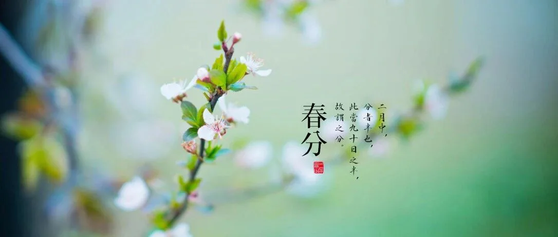 春分 | 道家养生导引术分享封面